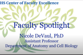 Faculty Spotlight: Nicole DeVaul, PhD